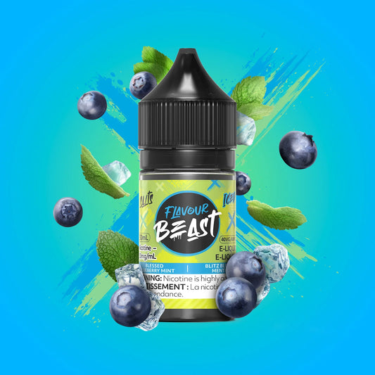 Flavour Beast- Blessed Blueberry Mint Iced